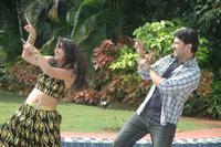 Sakshi Movie Stills